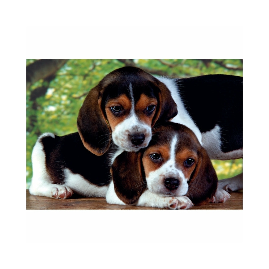 Clementoni High Quality Collection Close Together Jigsaw puzzle 500 pc(s) Animals – 2