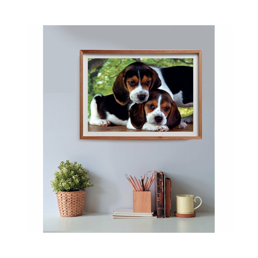 Clementoni High Quality Collection Close Together Kuviopalapeli 500 kpl Eläimet – 3