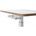 Leitz Ergo Small Electric Sit Standing Desk with Stand-Up Reminder