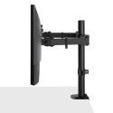 Lindy Dual Adjustable Display Mount Lindy Dual Adjustable Display Mount