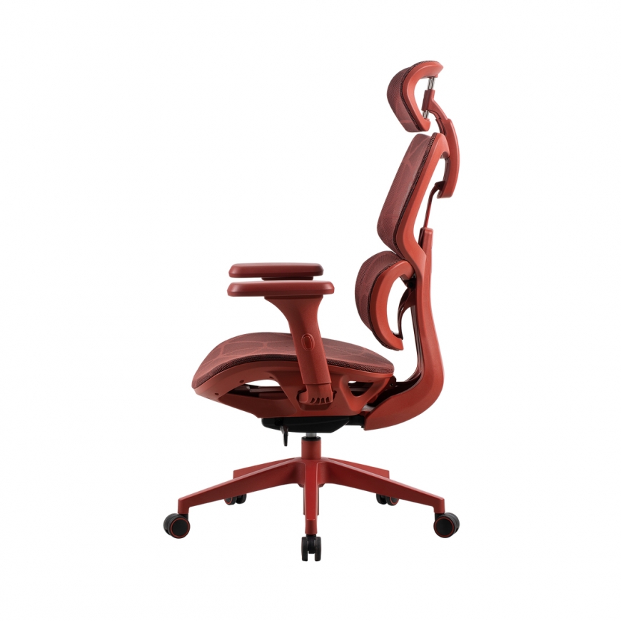 ONEX VENTRA Premium Upholstered padded seat Padded backrest – 4