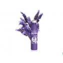 Puressentiel 7269691 Ķermeņa krēms un losjons 5 ml Eļļa Puressentiel 7269691 Ķermeņa krēms un losjons 5 ml Eļļa