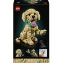 LEGO Icons 11384 Kultaisen noutajan pentu