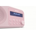 Sharp DR-P420 Kaasaskantav Digitaalne Roosa Sharp DR-P420 Kaasaskantav Digitaalne Roosa