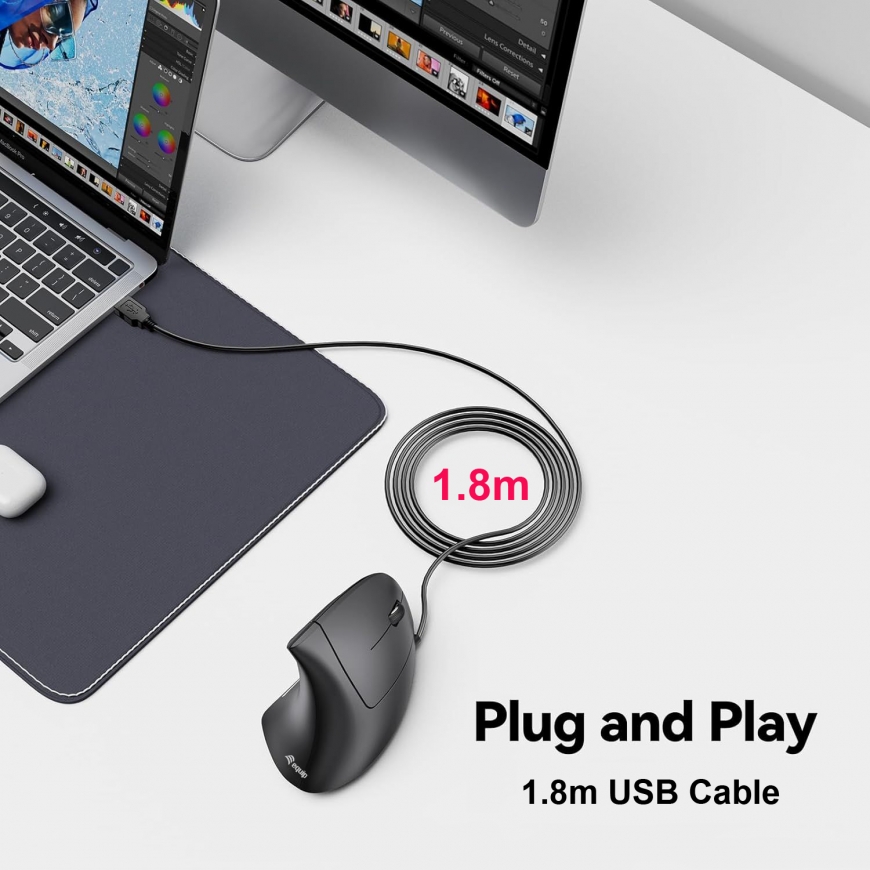 Equip 245118 kompiuterio pelė Universalus Dešinės rankos USB A tipo Optinis 3200 DPI – 4