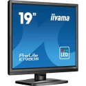 iiyama ProLite E1980S-B1 монитор для ПК 48,3 cm (19") 1280 x 1024 пикселей VGA LED Черный