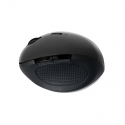 LogiLink ID0139 hiir Kontor Parempoolne Raadioside Optiline 1600 DPI LogiLink ID0139 hiir Kontor Parempoolne Raadioside Optiline 1600 DPI