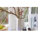 TESA P-Profile 6 m Окно Герметизирующая резина Самоклеющийся Коричневый TESA P-Profile 6 m Окно Герметизирующая резина Самоклеющийся Коричневый