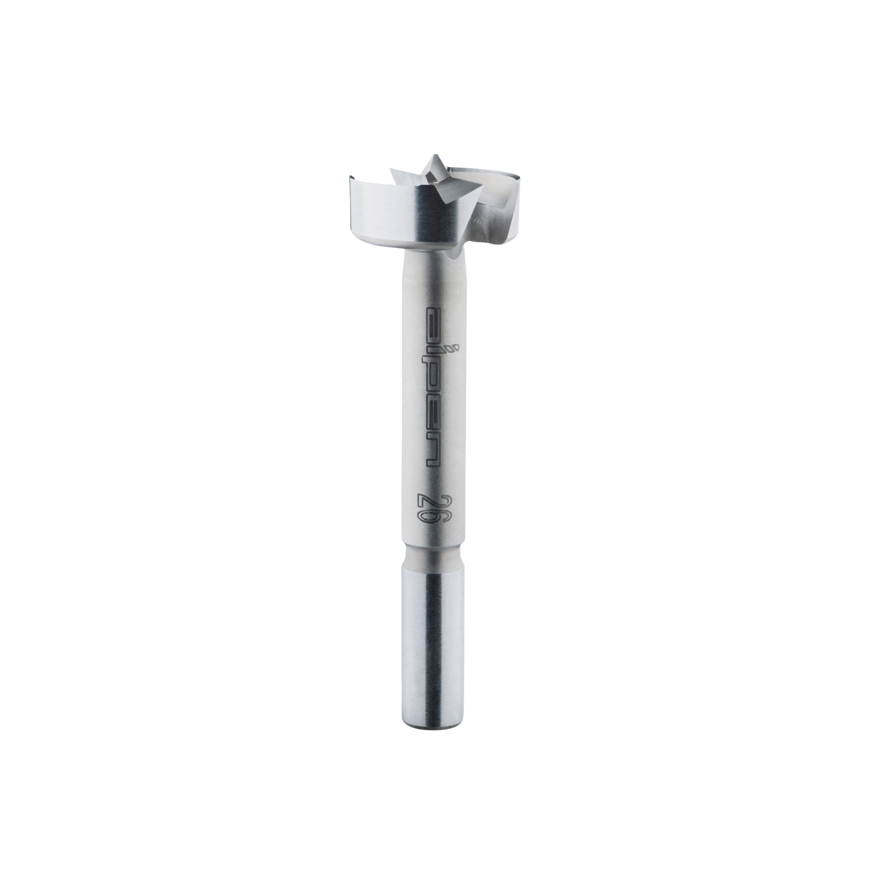 ALPEN Drills 23601200100 puuritera Forstneri puur 1 tk