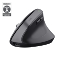 Trust Bayo+ mouse Office Right-hand RF Wireless + Bluetooth Optical 2400 DPI Trust Bayo+ mouse Office Right-hand RF Wireless + Bluetooth Optical 2400 DPI