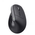 Trust Bayo+ pele Birojs Labā roka RF bezvadu sakari + Bluetooth Optisks 2400 DPI Trust Bayo+ pele Birojs Labā roka RF bezvadu sakari + Bluetooth Optisks 2400 DPI