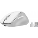 SPEEDLINK LIBERA Rechargeable Mouse hiiri Pelaaminen Oikeakätinen RF Wireless + Bluetooth Optinen 32