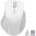 SPEEDLINK LIBERA Rechargeable Mouse hiir Mängimine Parempoolne RF juhtmeta ühendus + Bluetooth Optil
