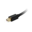 Equip 133433 videokaabliadapter Mini DisplayPort DVI-I Must