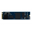 Kingston Technology DC2000B 960 GB M.2 PCI Express 4.0 NVMe 3D TLC