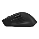 ASUS ProArt Mouse MD301 pele Universāls Labā roka RF Wireless + Bluetooth + USB Type-A Optisks 8000 ASUS ProArt Mouse MD301 pele Universāls Labā roka RF Wireless + Bluetooth + USB Type-A Optisks 8000