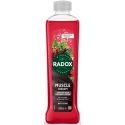 Radox Muscle Therapy Bath Soak Vannas Putas 500 ml Radox Muscle Therapy Bath Soak Vannas Putas 500 ml