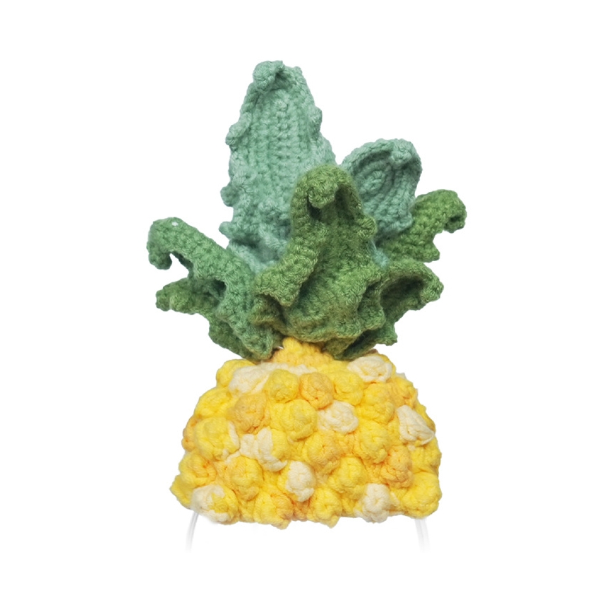Loona Adīts kostīms Loona Premium Pineapple