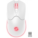 SPEEDLINK SL-680102-WT pele Speļu Labā roka RF Wireless + USB Type-A Optisks 4800 DPI SPEEDLINK SL-680102-WT pele Speļu Labā roka RF Wireless + USB Type-A Optisks 4800 DPI