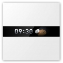 Aqara Display Switch V1