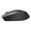 LogiLink ID0160 компьютерная мышь Офисная Для обеих рук Беспроводной RF Оптический 1200 DPI LogiLink ID0160 компьютерная мышь Офисная Для обеих рук Беспроводной RF Оптический 1200 DPI