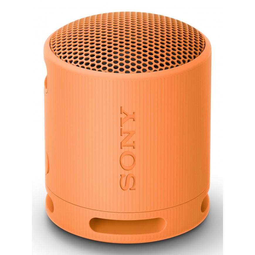 Sony SRS-XB100 Nešiojamasis monogarsiakalbis Oranžinė