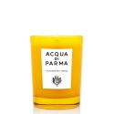 Acqua di Parma La Casa sul Lago vahaküünal Ümmargune Merevaik, Bergamott, Alpikann, Maikelluke, Musk Acqua di Parma La Casa sul Lago vahaküünal Ümmargune Merevaik, Bergamott, Alpikann, Maikelluke, Musk