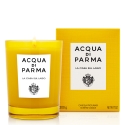 Acqua di Parma La Casa sul Lago vaško žvakė Turas Gintaras, Bergamotė, Ciklamenas, Pakalnutė, Muskus Acqua di Parma La Casa sul Lago vaško žvakė Turas Gintaras, Bergamotė, Ciklamenas, Pakalnutė, Muskus