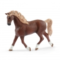 schleich HORSE CLUB 42438 mänguasjakomplekt