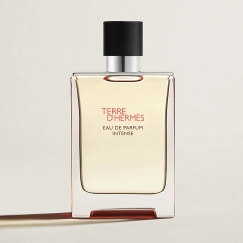 Hermes Terre d'Hermès Eau De Parfum Intense 100 ml