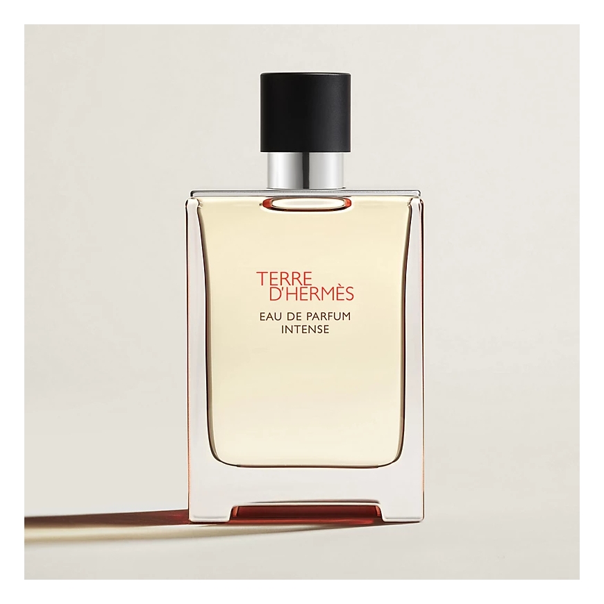 Hermes Terre d'Hermès Intense 100 ml