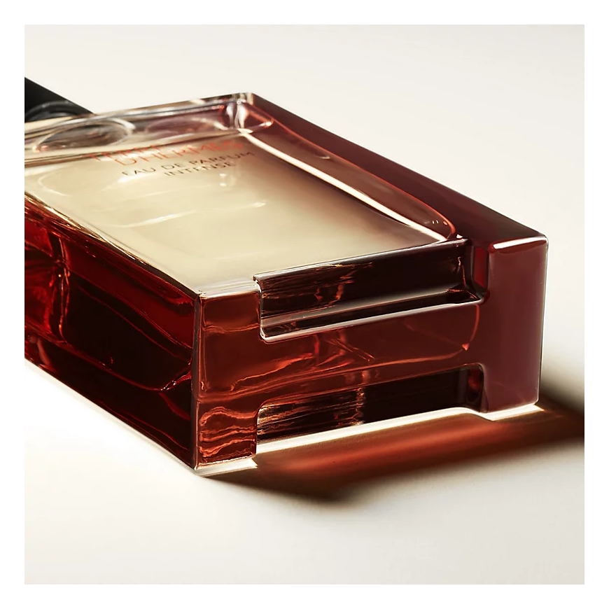 Hermes Terre d'Hermès Eau De Parfum Intense 100 ml – 3
