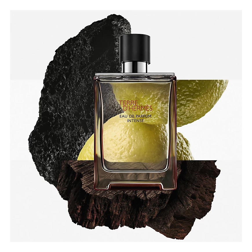 Hermes Terre d'Hermès Intense 100 ml – 5