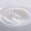 Sensai Cellular Performance Fresh Cream Day & night cream Face 40 ml Sensai Cellular Performance Fresh Cream Day & night cream Face 40 ml