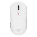 GENESIS NMG-2194 компьютерная мышь Игровой Для обеих рук Bluetooth + USB Type-C Оптический 26000 DPI GENESIS NMG-2194 компьютерная мышь Игровой Для обеих рук Bluetooth + USB Type-C Оптический 26000 DPI