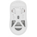 GENESIS NMG-2194 hiir Mängimine Mõlemakäeline Bluetooth + USB Type-C Optiline 26000 DPI GENESIS NMG-2194 hiir Mängimine Mõlemakäeline Bluetooth + USB Type-C Optiline 26000 DPI