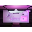 Razer Kiyo V2 X вебкамера 3,7 MP 2560 x 1440 пикселей USB Белый