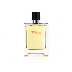 Hermes Terre d'Hermès 100 ml Vīrieši
