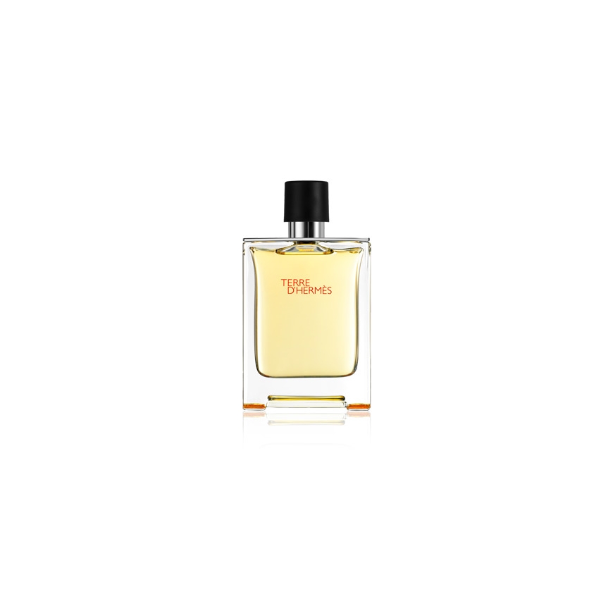 Hermes Terre d`Hermès 100 ml Vīrieši