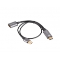 Lanberg AD-HD-DP-02 video cable adapter 0.2 m HDMI Type A (Standard) DisplayPort Silver