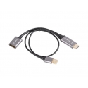 Lanberg AD-HD-DP-02 video cable adapter 0.2 m HDMI Type A (Standard) DisplayPort Silver