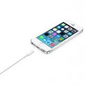 Apple Lightning - USB 2 m Белый Apple Lightning - USB 2 m Белый