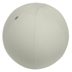 Leitz Ergo treeningpall 65 cm Hall Täissuurus