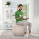 Leitz Ergo Active Sitting Ball with stopper function 65cm Leitz Ergo Active Sitting Ball with stopper function 65cm