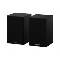 GENESIS NGS-2343 loudspeaker Black Wired & Wireless 20 W