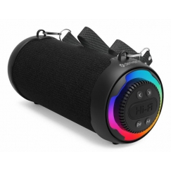 Denver BTG-213 Portatīvais un ballīšu skaļrunis Melns 10 W