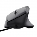 Trust GXT 145 Rexxa kompiuterio pelė Žaidimams Dešinės rankos USB A tipo 12800 DPI Trust GXT 145 Rexxa kompiuterio pelė Žaidimams Dešinės rankos USB A tipo 12800 DPI