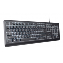 Trust Primo Beleuchtete tastatūra Mājas/Biroja USB QWERTY Amerikāņu angļu valoda Melns Trust Primo Beleuchtete tastatūra Mājas/Biroja USB QWERTY Amerikāņu angļu valoda Melns