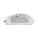 Trust Ozaa hiir Kontor Parempoolne RF juhtmeta ühendus + Bluetooth Optiline 3200 DPI Trust Ozaa hiir Kontor Parempoolne RF juhtmeta ühendus + Bluetooth Optiline 3200 DPI