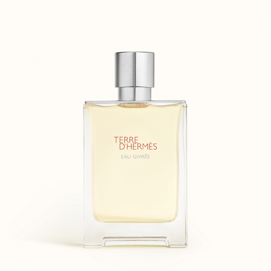 Hermes Terre d` Eau Givree 100